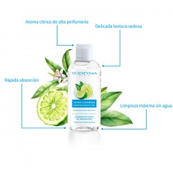 Hydroalkoholisches Gel 100 ml