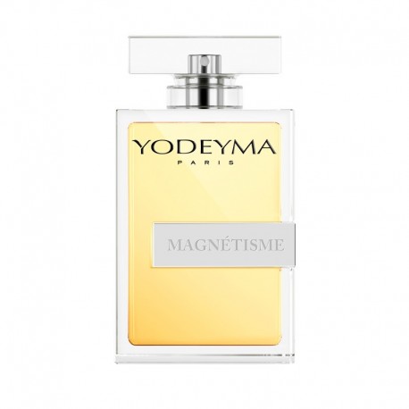 Magnétisme