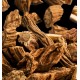 Root